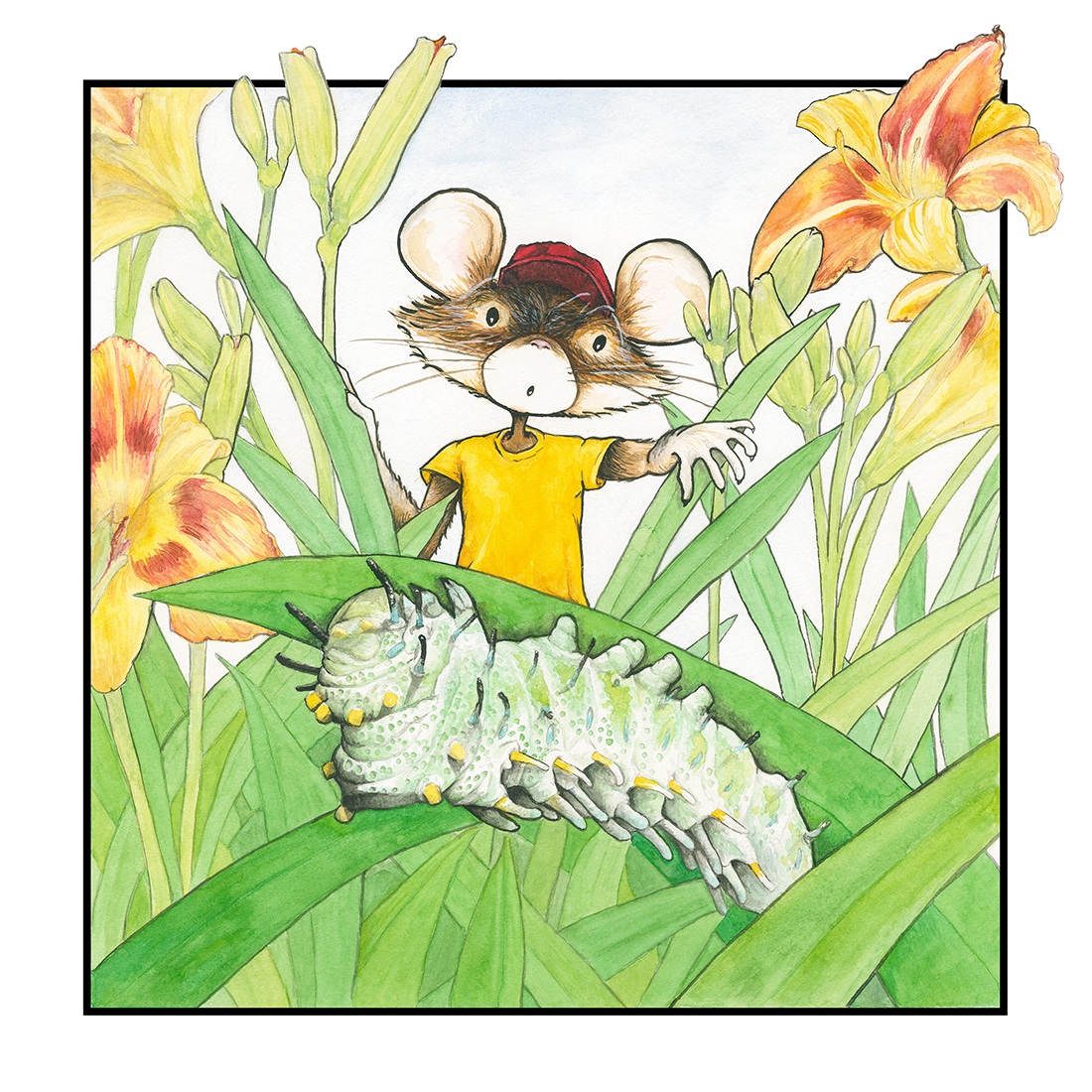 Little Mouse finds a friend