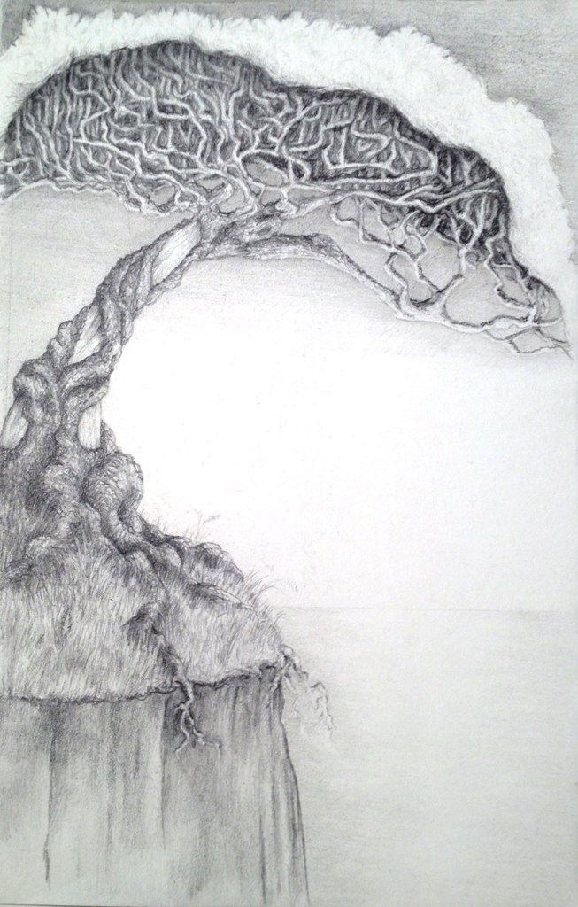 Pencil sketch of a gnarled tree with many twisting branches and crowned with silvery leaves growing on a cliff. It's roots are showing below the top of the cliff. In the background is a smooth sea.
