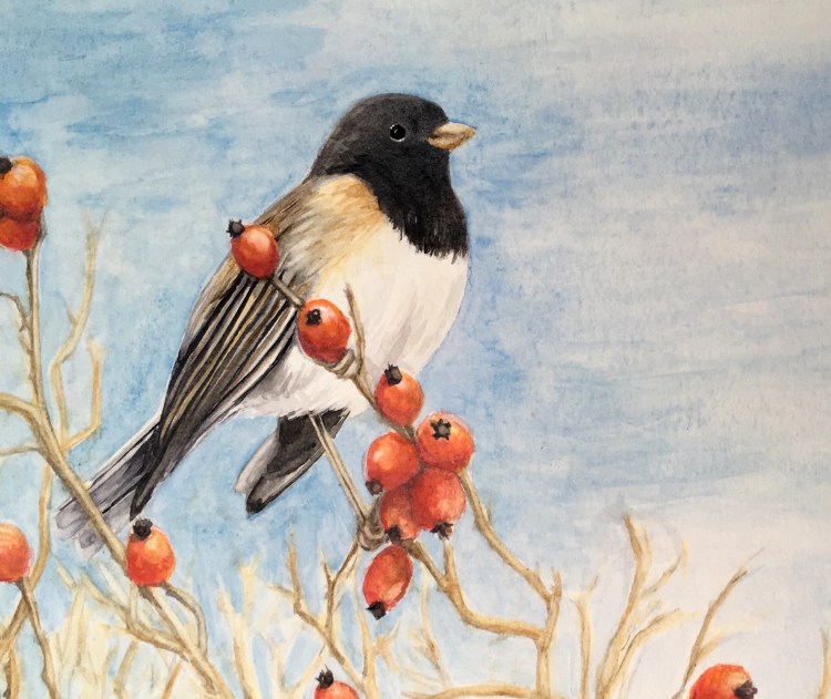 Junco and rose hips_detail