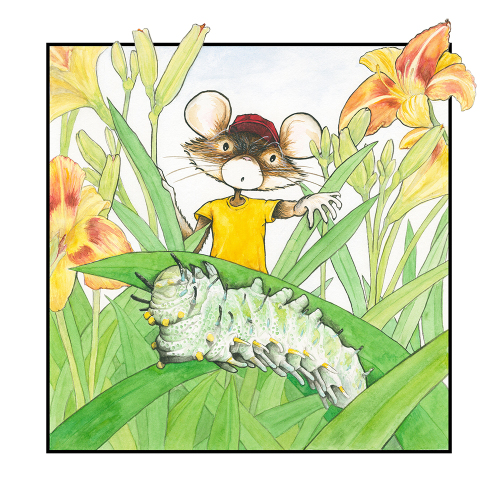 tksLittleMouseCaterpillar