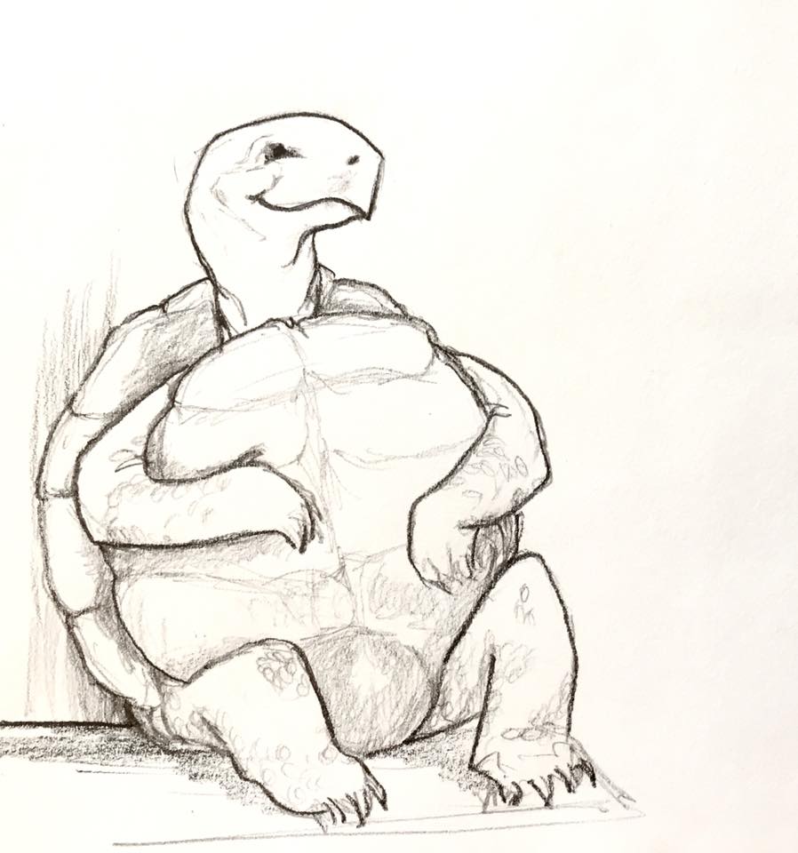 Pencil sketch of a smiling tortoise sitting with his knees bent and back against a wall.