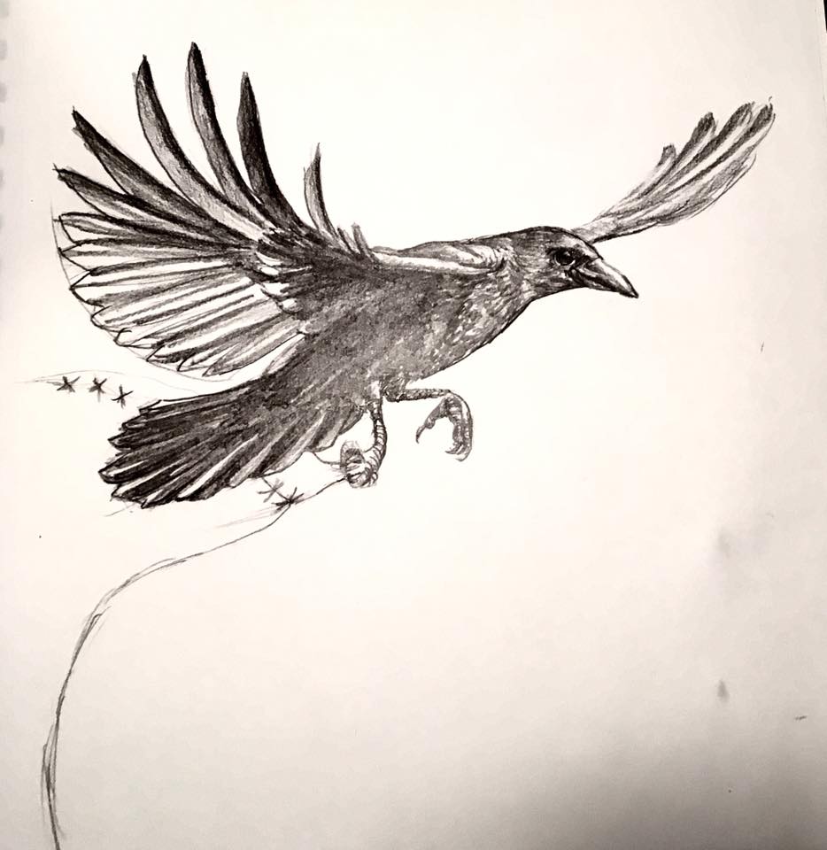 Pencil sketch of a realistic smiling crow with outstretched wings and something grasped in one talon.