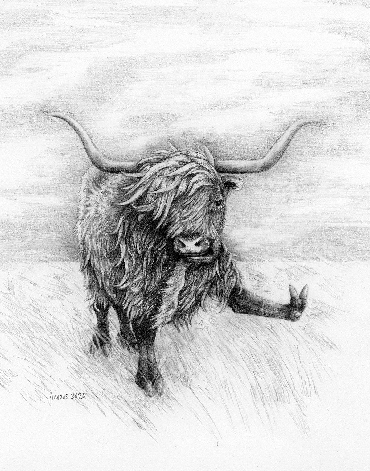 A pencil drawn yak with long horns on a grassy prairie lifts up its front left hoof and give the peace sign with it.