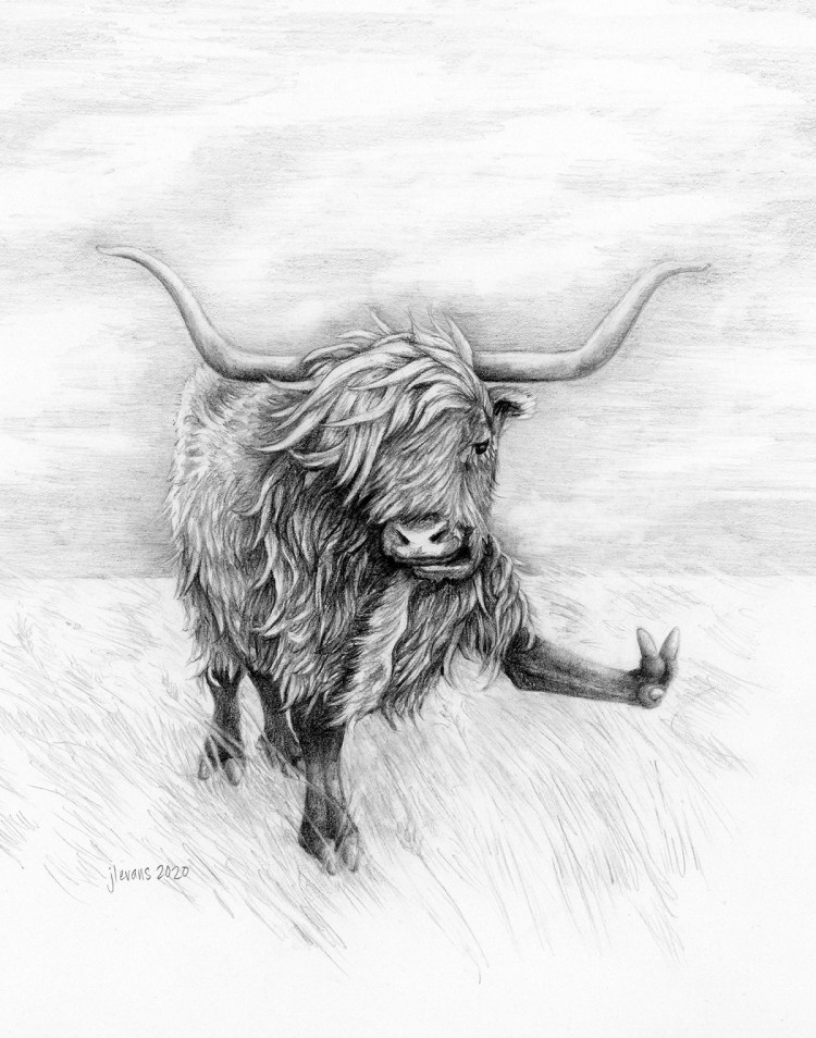 A pencil drawn yak with long horns on a grassy prairie lifts up its front left hoof and give the peace sign with it.